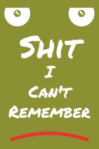 Cover image for Shit I Can't Remember