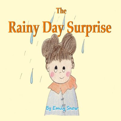 Cover image for The Rainy Day Surprise