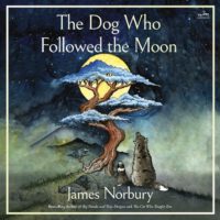 Cover image for The Dog Who Followed the Moon