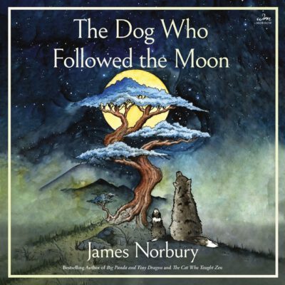 Cover image for The Dog Who Followed the Moon